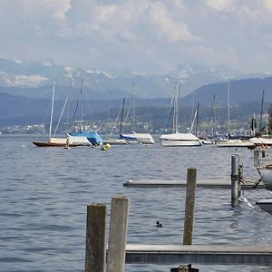 Alex Lake Zurich